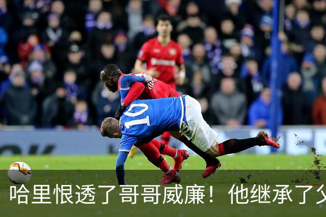 哈里恨透了哥哥威廉！他继承了父亲的王位不说，还继承了母亲的脸