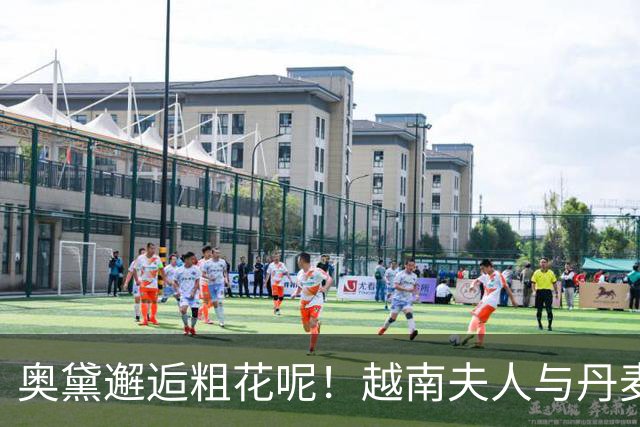 奥黛邂逅粗花呢！越南夫人与丹麦玛丽王后，外交红毯上演东西方美学碰撞